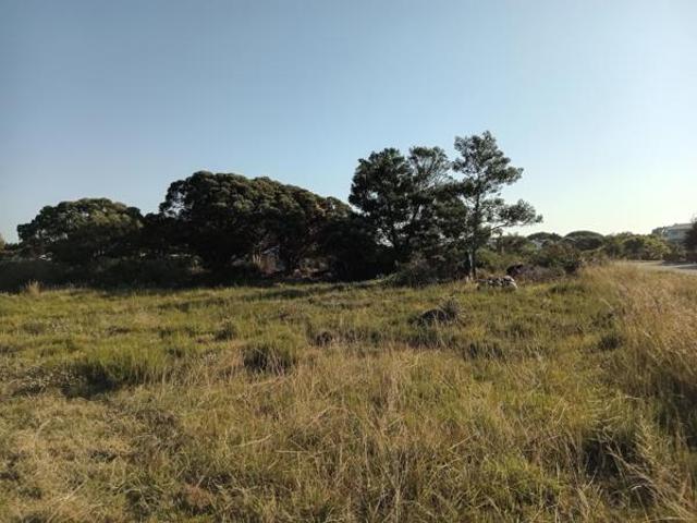 Land for sale in Cape St Francis, Eastern Cape