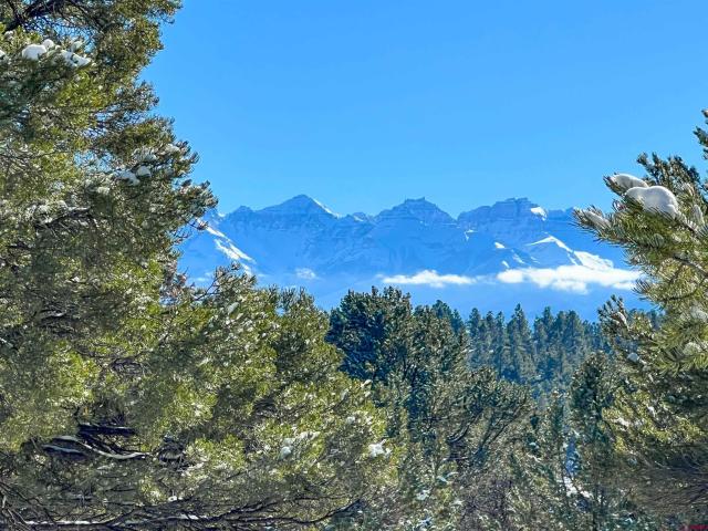 Land for sale in Ridgway, Colorado