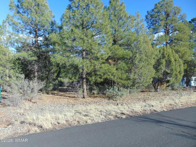 Land for sale in Navajo, Arizona