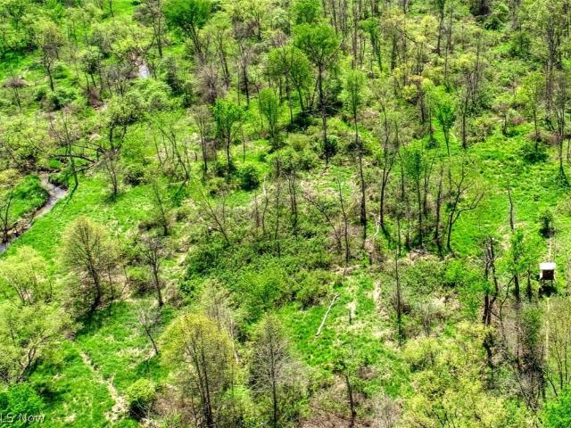 Land for sale in Guernsey, Ohio