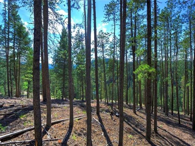 Land for sale in Evergreen, Colorado
