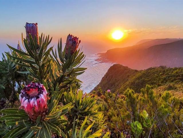 Land for sale in Cape St Francis, Eastern Cape