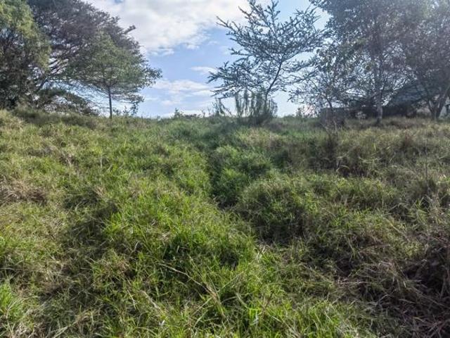 Land for sale