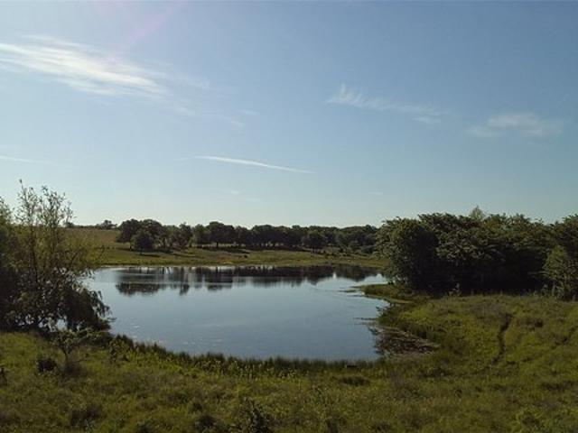 Farm for sale in Axtell, Texas