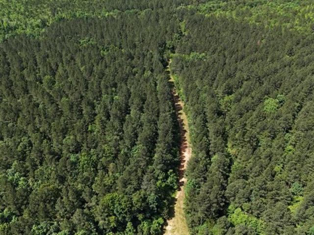 Land for sale in Granville, North Carolina