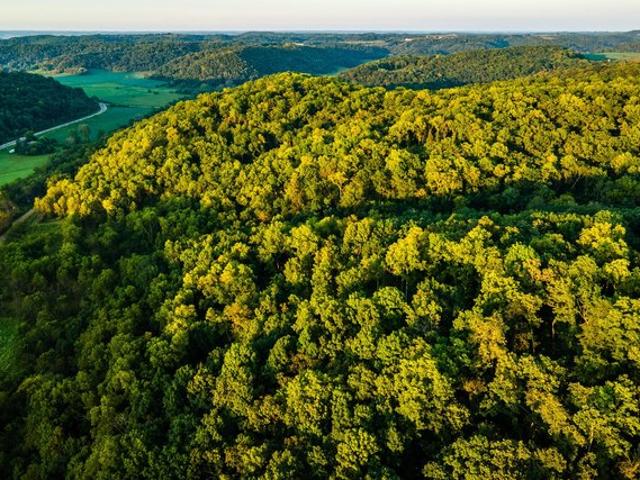 Land for sale in Pulaski, Wisconsin