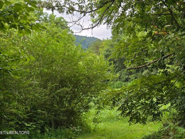 Land for sale in Tennessee