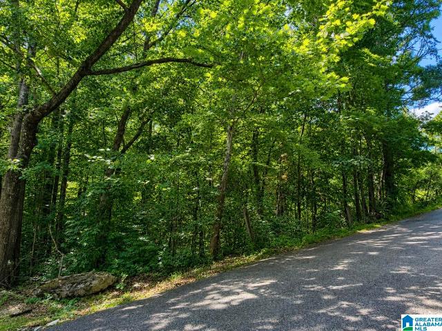 Land for sale in Clay, Alabama