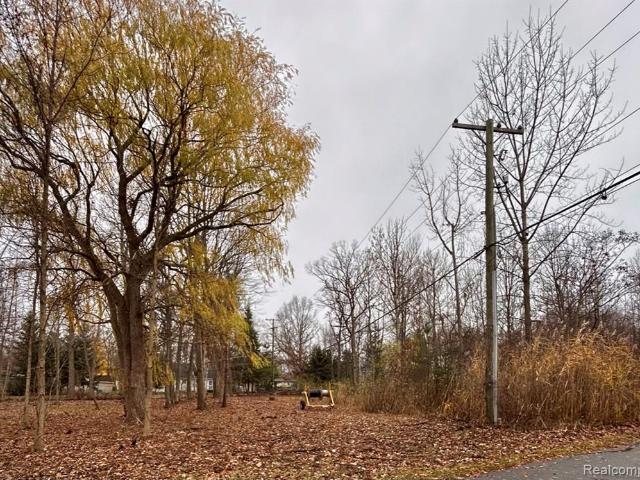 Land for sale in Caseville, Huron County