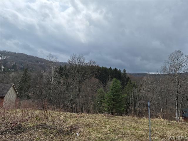 Land for sale in Ellicottville, New York