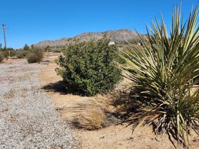 Land for sale in Mountain Center, California