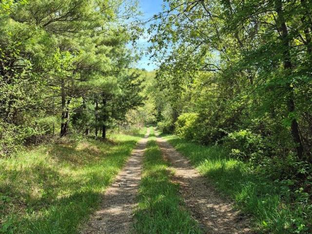 Land for sale in Virginia