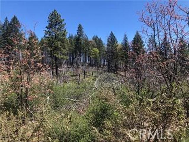 Land for sale in Lake, California