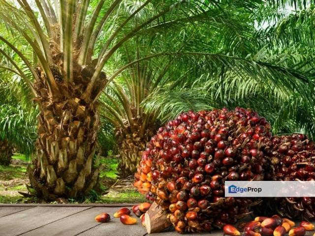 Shop for sale in Jeram, Selangor