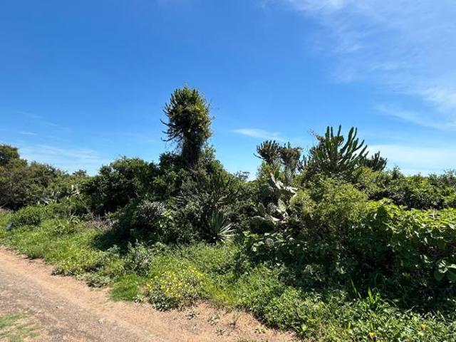 Land for sale in Kenton-on-Sea, Ndlambe Local Municipality