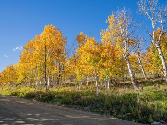 Property for sale in Gunnison, Colorado