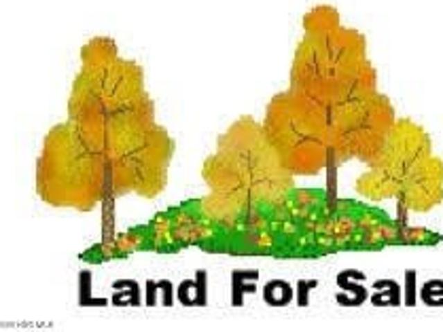 Land for sale in Whitakers, North Carolina