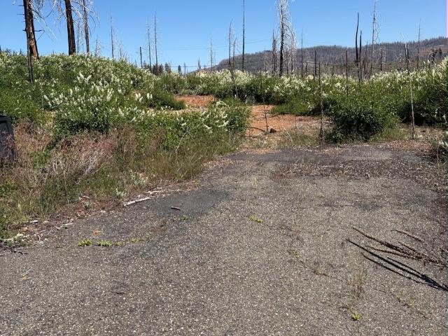 Land for sale in Grizzly Flats, California