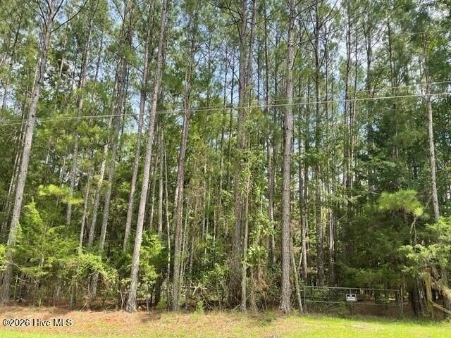 Land for sale in Appling, Georgia