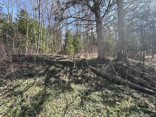 Land for sale in Belfast, New York