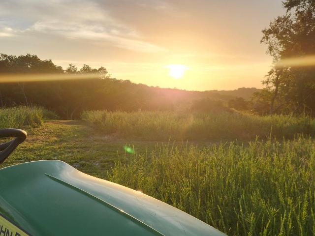 Land for sale in Forsyth, Missouri