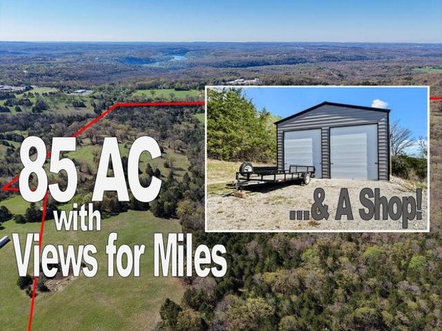 Land for sale in Forsyth, Missouri