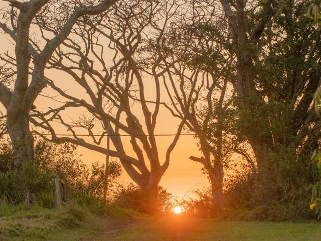 Land for sale in Princess Grant, Kwazulu-natal