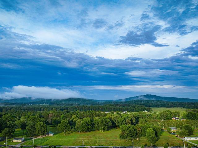 Land for sale in Owens Cross Roads, Alabama