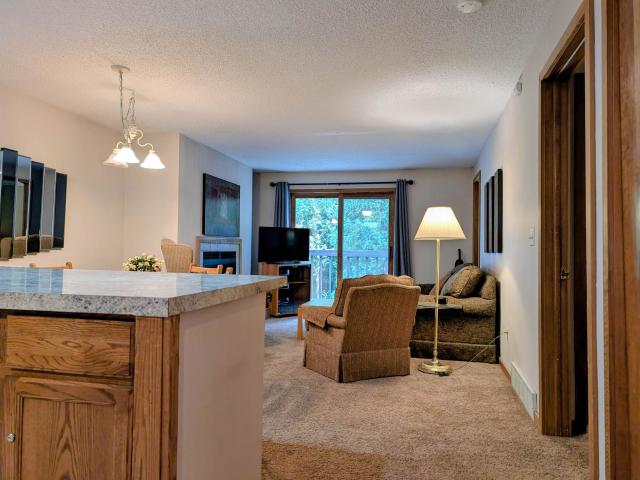 Condo for sale in Custer Township, Antrim County