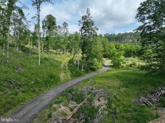 Land for sale in Hardy, West Virginia