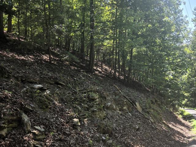 Land for sale in Gordon, Georgia