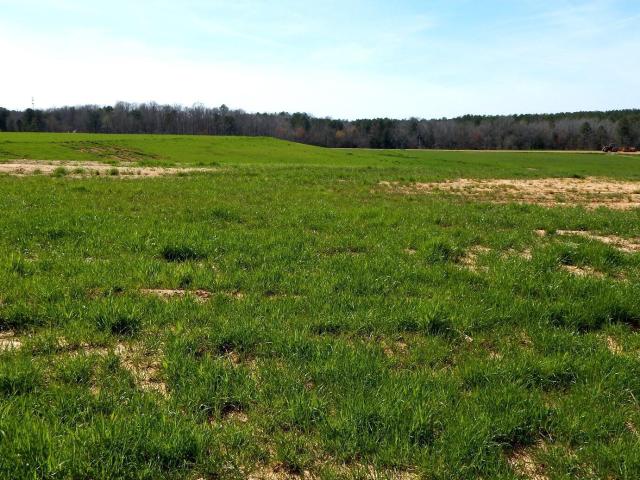 Land for sale in Grenada, Mississippi
