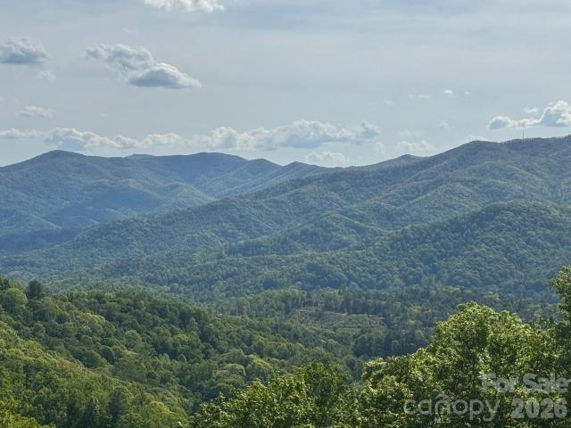 House for sale in Haywood, North Carolina