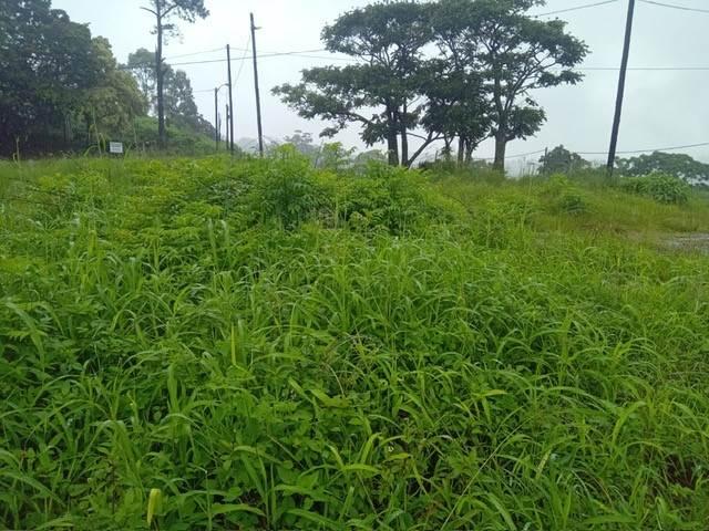 Land for sale in Durban