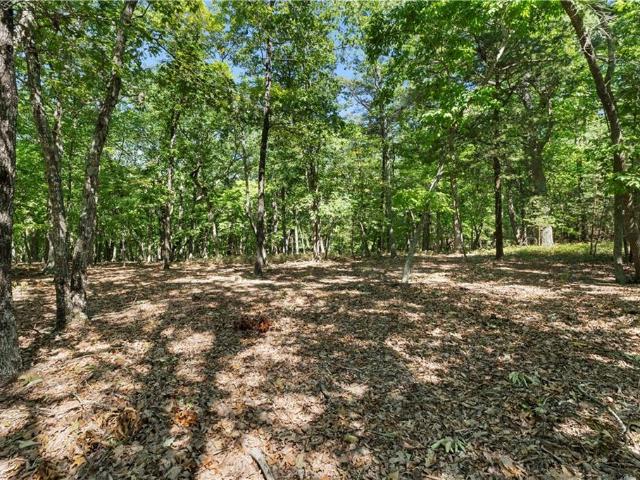 Land for sale in Davidson, North Carolina