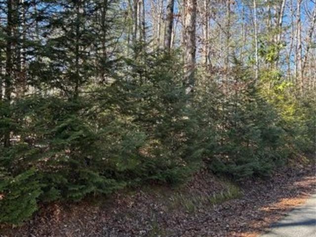 Land for sale in Mountain Rest, South Carolina