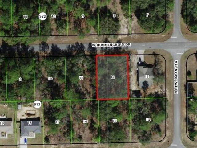 Land for sale in Florida