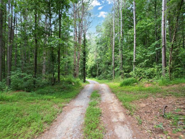 Land for sale in Benton, East Tennessee
