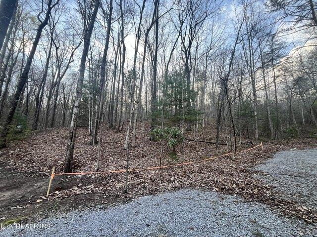 Land for sale in Tennessee