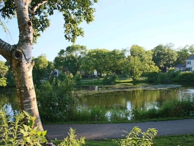 Townhouse for sale in Oakdale, Minnesota