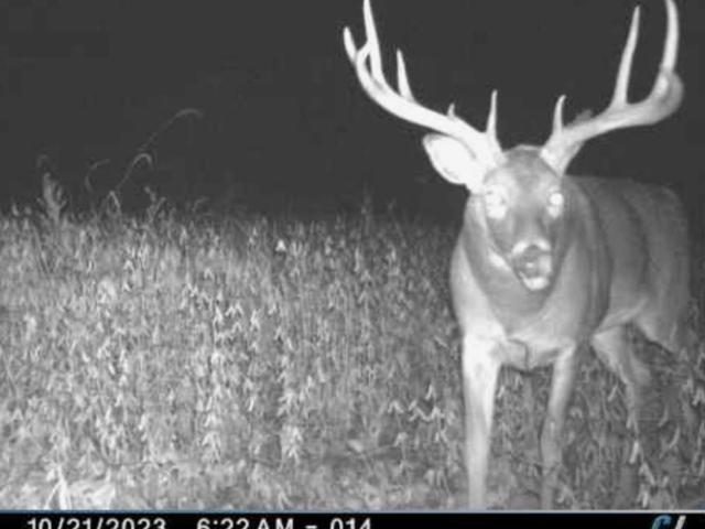Land for sale in Wisconsin