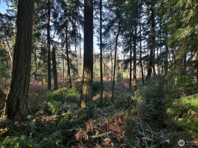 Land for sale in Washington