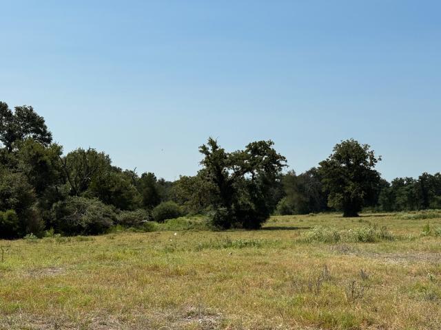 Land for sale in Leon, Texas