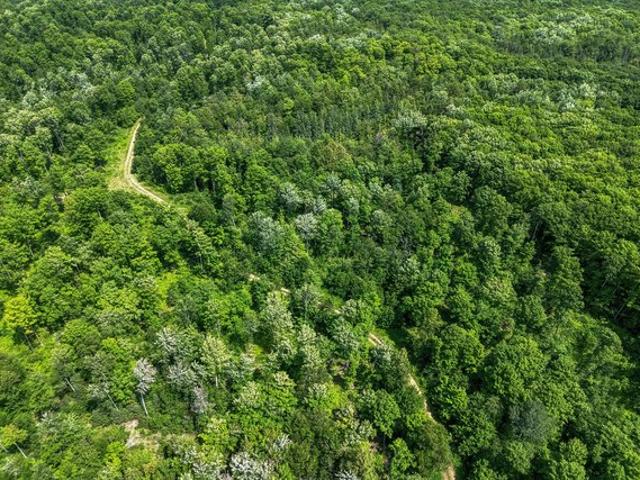 Land for sale in Marenisco, Michigan