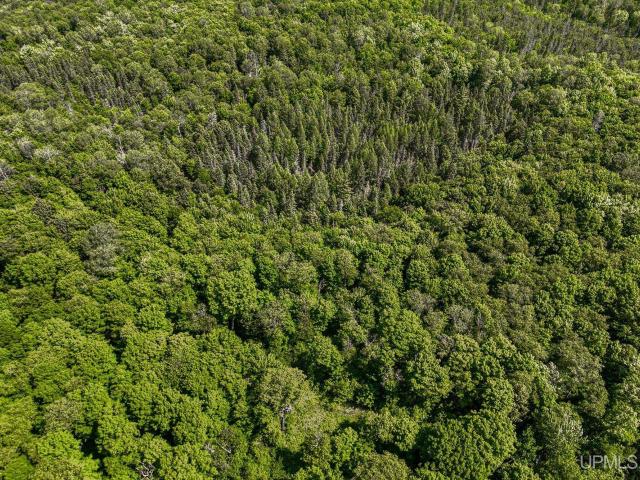 Land for sale in Michigan