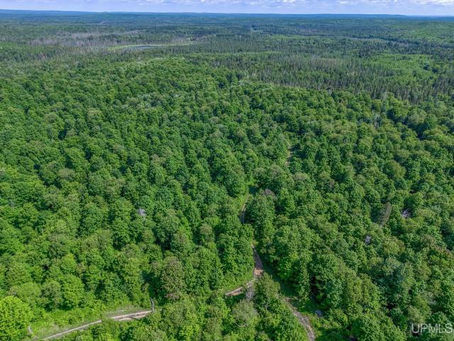 Land for sale in Michigan
