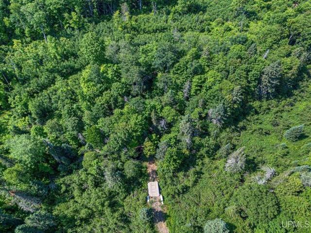 Land for sale in Marenisco, Michigan