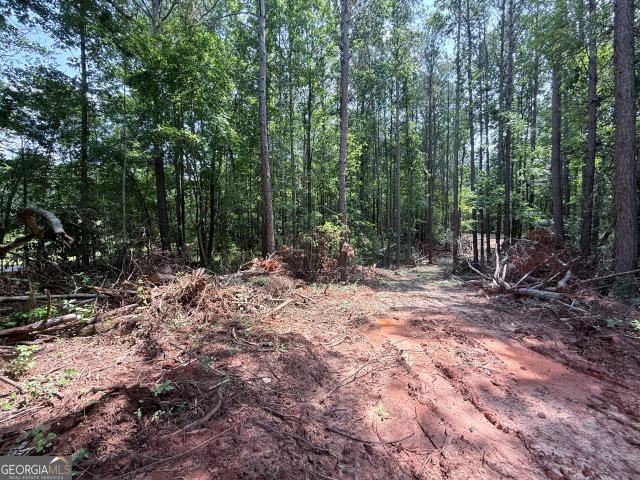 Land for sale in Waco, Georgia