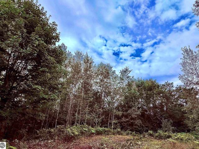 Land for sale in Michigan