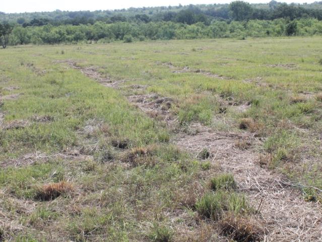 Land for sale in Comanche, Comanche County